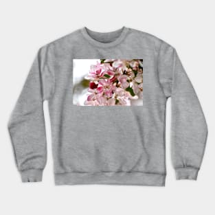 Cherry Blossoms Crewneck Sweatshirt